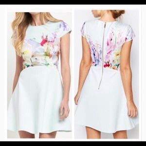 Ted Baker skater dress